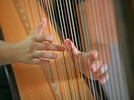Australia harp luthier